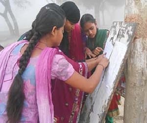 gndu announced many exams result