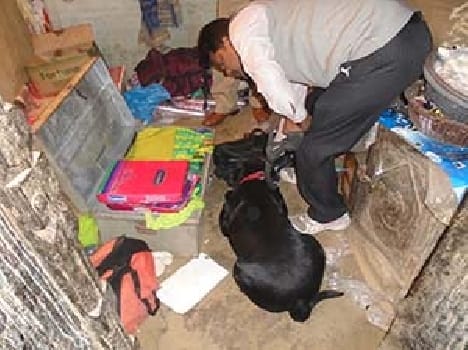 Theft of millions of peasant house