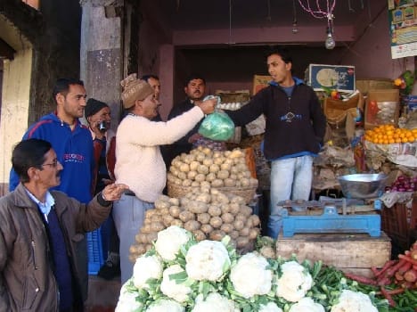 Palithin seized in raids seven stores
