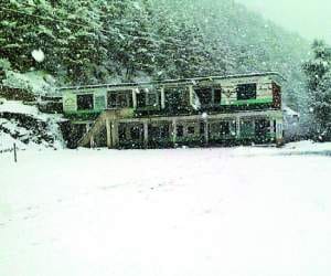 3 died due to cold in himachal.