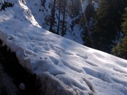 glyciar slide in himachal.