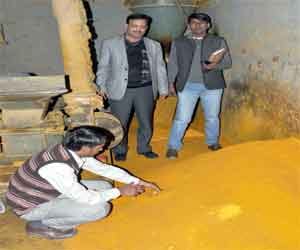 caution! you not eating poisonous turmeric.
