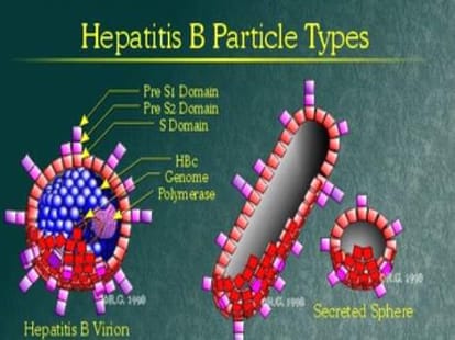 due to Blood was infection pregnant women victims of hepatitis B.