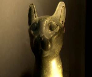 egyptian cat sale in 49 lack