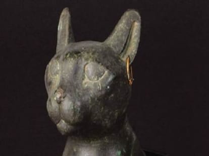 egyptian cat sale in 49 lack