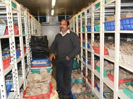 Gene bank of the vegetation of the 58 countries in Shimla.