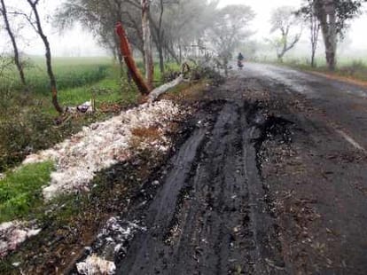 brutal accident in haryana, driver burnt alive