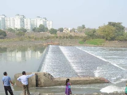 greenery is diminished from gomti river