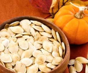 new research on pumpkin seeds.