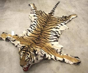 It was a leopard skin smuggling business