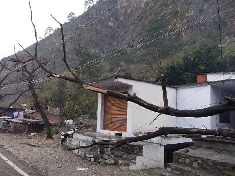 Power supply from a tree falling in line stalled