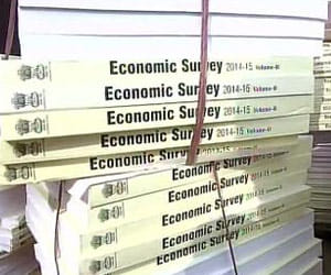Economic survey submitted; Subsidy might be reduced