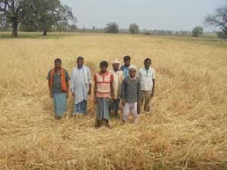 Unseasonable rains affected normal life