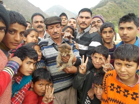 The leopard cubs found in bakhali