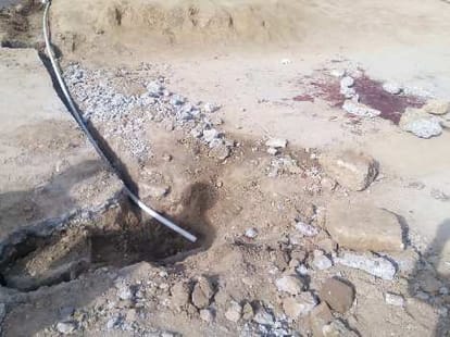 brutal murder of sister