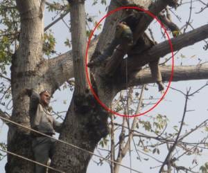 man died by high voltage current.