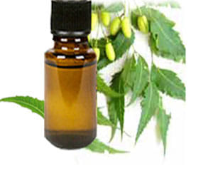 neem oil benefits for hair care