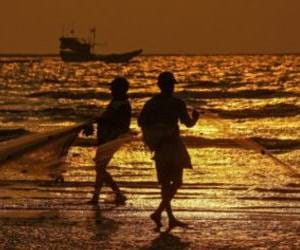 indian fishermen arrested in srilanka.