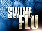 Ten patients reached the base of swine flu fears
