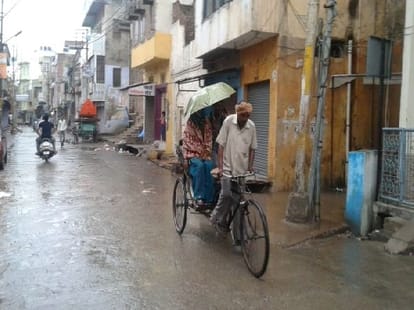 danger of swine flu increased due to rain, destruction of crops also