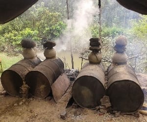 Disclosure of raw liquor business