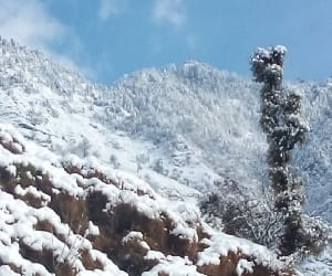 weather update of uttarakhand.