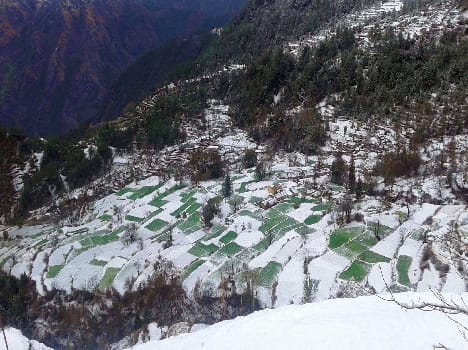 The rain continued in Pithoragarh