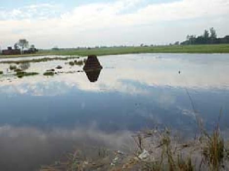 Canal broken , hundreds of acres of crop steeped