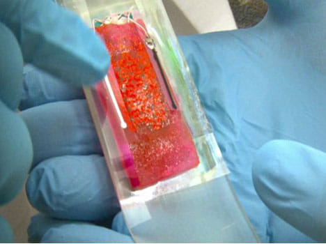 smart bandage that call doctor