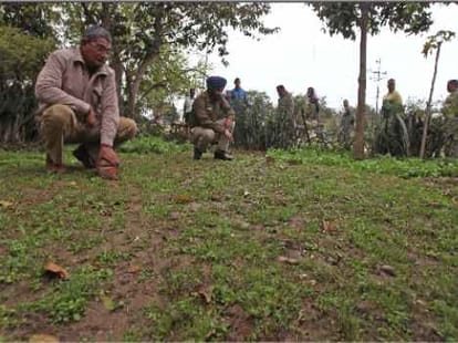 terror of leopard in chandigarh