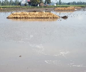 farmers loss 
