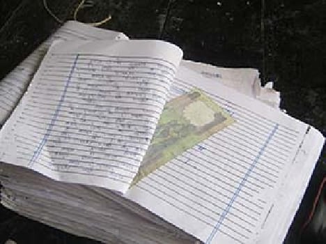 In the social sciences were also five imitator