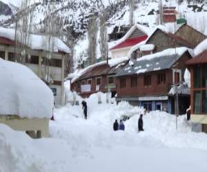 heavy snowfall in himachal, five died.