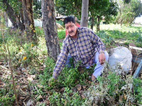 Weir, farm disease 'cure'