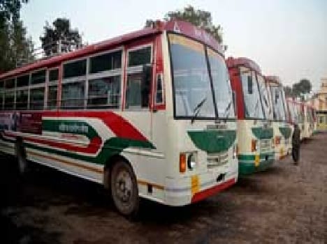 Lohia Bus Survice Started Tomarow