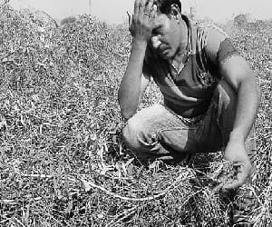 Farmer 's beating death