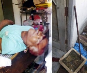 financer murder at fatehbad