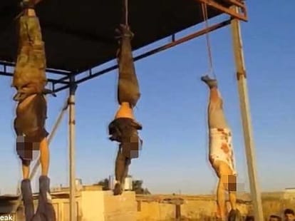 IS is doing animal like behaviour with prisoners
