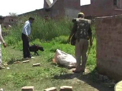illegal relationship: brutal murder of beloved father in law