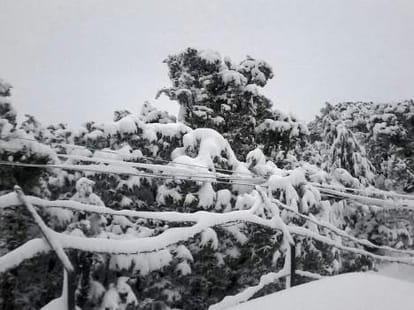 snowfall in char dham uttarakhand.