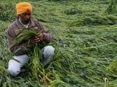 'wastewater may use in agriculture'