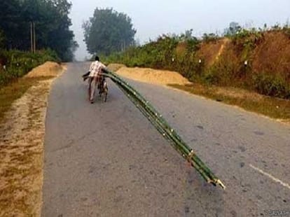 50 foot bamboo on cycle