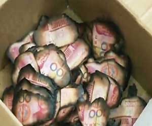 wife set light to 20000 dollors in stove mistakingly