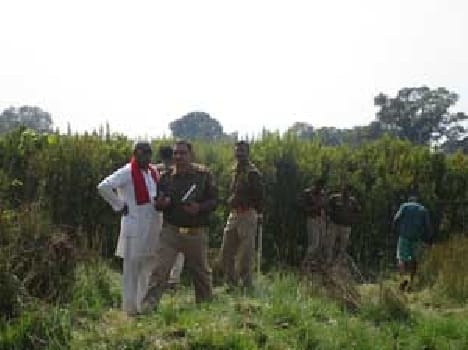 Kidnapped girl's body was found in a field of Tur