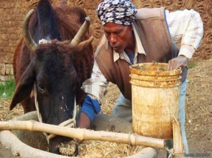 wait for land reform in bihar