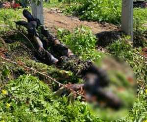 brutal incident: electrician burn alive