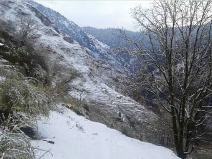 snowfall in chardham in next three days.
