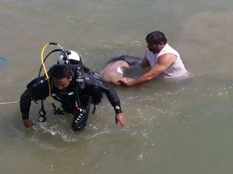 Fourth day immersed in the River had student bodies