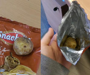 potato in the packet of chips