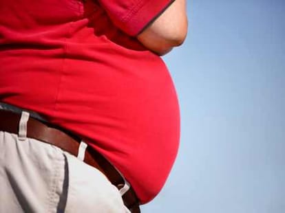 research on obesity